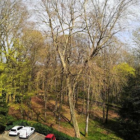 Chambre D'Hote Au Parc Des Thibaudieres Boussy-Saint-Antoine Esterno foto