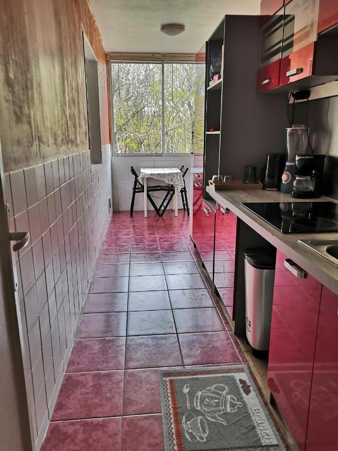 Chambre D'Hote Au Parc Des Thibaudieres Boussy-Saint-Antoine Esterno foto